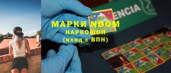 твердый Туринск